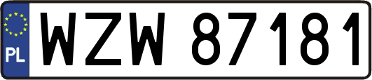 WZW87181