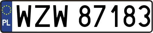 WZW87183