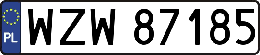 WZW87185