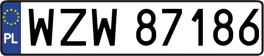 WZW87186
