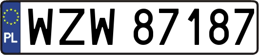 WZW87187