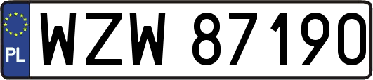 WZW87190