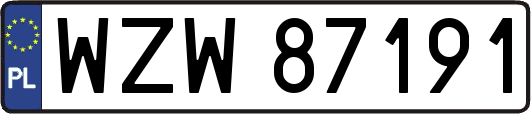 WZW87191