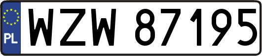 WZW87195