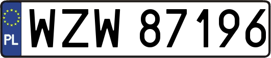 WZW87196