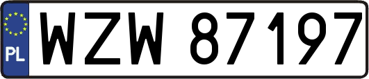 WZW87197