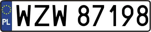 WZW87198