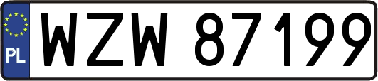 WZW87199