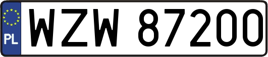 WZW87200