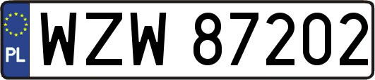 WZW87202