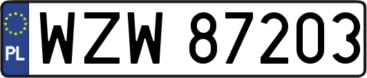 WZW87203