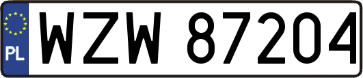 WZW87204