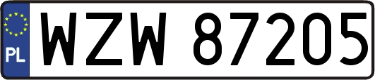 WZW87205