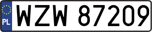 WZW87209