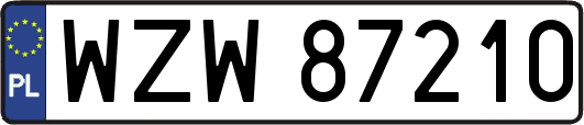 WZW87210