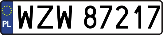 WZW87217