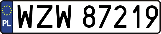 WZW87219