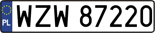WZW87220