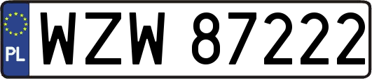 WZW87222