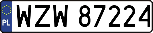 WZW87224