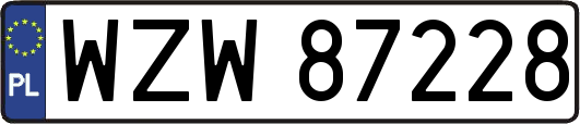 WZW87228
