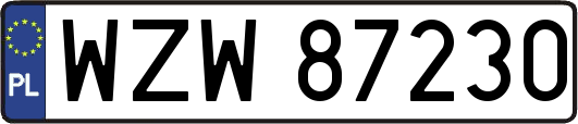 WZW87230