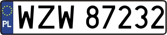 WZW87232