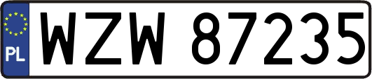 WZW87235