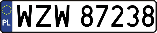 WZW87238