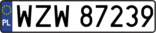 WZW87239