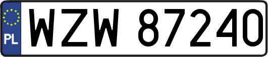 WZW87240