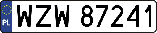 WZW87241