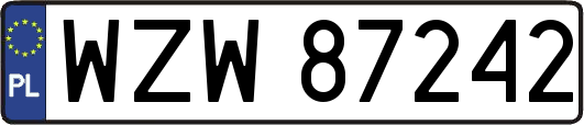 WZW87242
