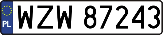 WZW87243