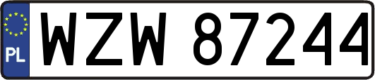 WZW87244