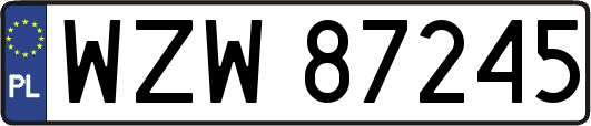 WZW87245