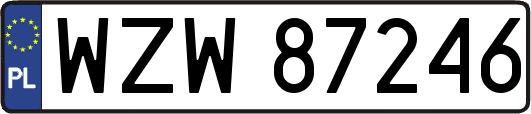 WZW87246