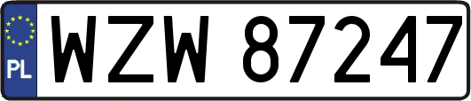 WZW87247