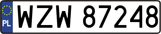WZW87248
