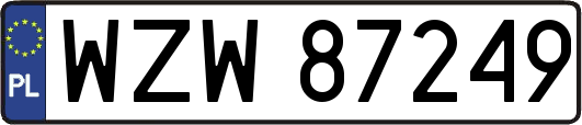 WZW87249