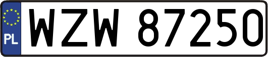 WZW87250