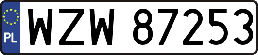 WZW87253