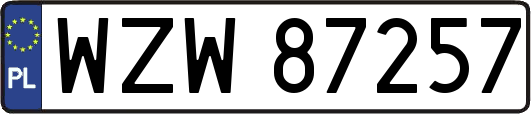 WZW87257