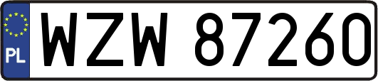 WZW87260