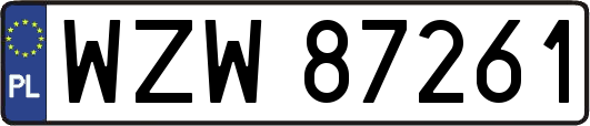 WZW87261