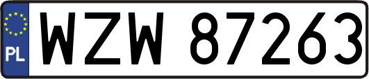 WZW87263