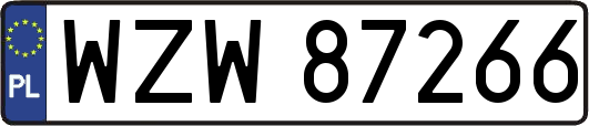 WZW87266