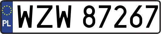 WZW87267
