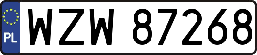 WZW87268