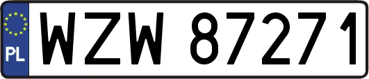 WZW87271